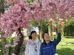-陶缘一号·四季缘·老字号顺德菜·户外婚礼家宴(西滘店)