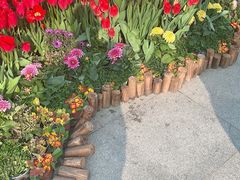 -南山植物园