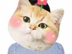 -一墨照相馆·证件照·形象照(世博店)