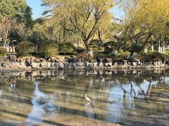 -瀛洲公园