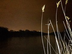 -上海市保健医疗中心(华东疗养院)