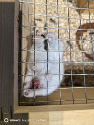 -酷嗒动物文化乐园(cutezoo西溪乐天城店)