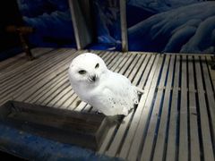 -成都浩海立方海洋公园