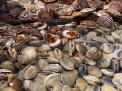 -一方渔歌蒸汽海鲜自助(文化路万达广场店)