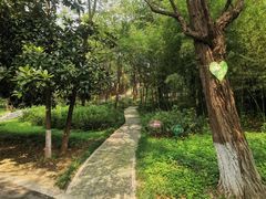 -艾山风景名胜区