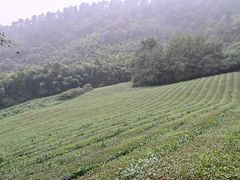 -敬亭山风景名胜区