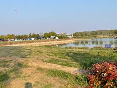 -西京湾花海