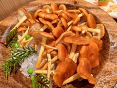 -季季山·云南野生菌火锅(上海首店)