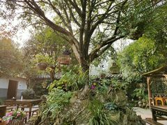 -青城甲(青城山店)