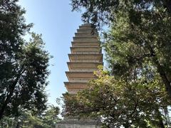-洛阳白马寺