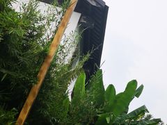 -大塘金香草谷