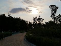 -上海滴水湖皇冠假日酒店