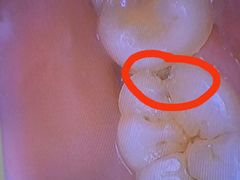 -上海市徐汇区口腔医院