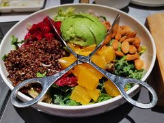 芥子酱羽翼甘蓝沙拉-小大董·烤鸭(观景餐厅·南京西路店)