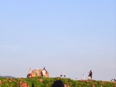 -光明小镇欢乐田园