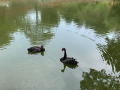 -清风小镇闯关东影视基地