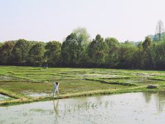 -贵阳市花溪国家城市湿地公园