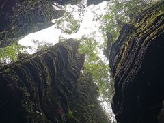 -梭布垭石林景区