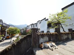 -绩溪龙川景区