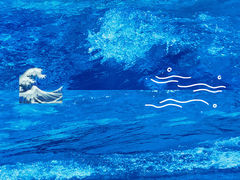 -上海玛雅海滩水公园