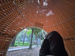 -东湖落雁景区