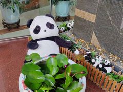 -成都绿洲大酒店(春熙路太古里店)