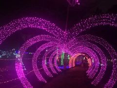 -松山湖梦幻百花洲