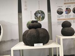-中国茶叶博物馆(双峰馆区)