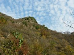 -北京山里寒舍度假酒店