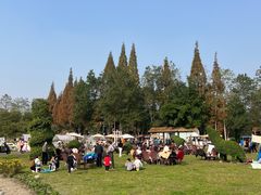 -夏河溪乡野公园