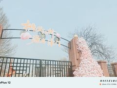 -桃花堤公园