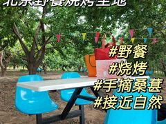 -御林古桑园