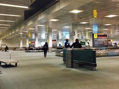 -纽瓦克自由国际机场