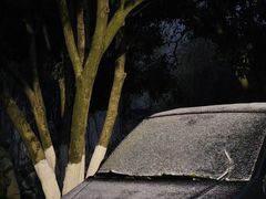 -Metal hands·铁手咖啡