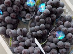 -马陆小张葡萄园农家乐