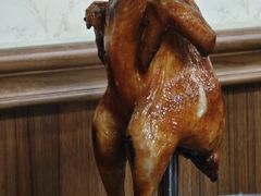 -鸽鸟轩(石岐店)