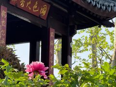 -八哥美术·成人美术画室(总校区)