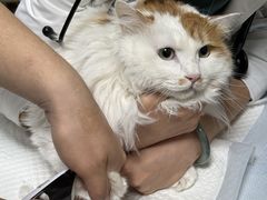 -美联众合动物医院·24h转诊中心