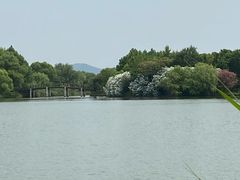 -苏州太湖国家湿地公园