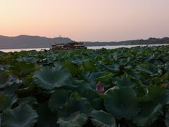 -西湖外事游船(湖滨二公园外事游船码头)