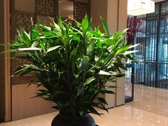 -五缘湾凯悦酒店·悦饗中餐厅