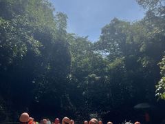 -清泉湾生态旅游度假区