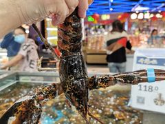 波士顿龙虾-盒马鲜生(大成店)