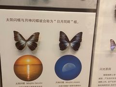 -天津自然博物馆