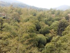 -陶祖圣境风景区