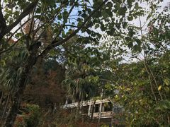 -广东温泉宾馆