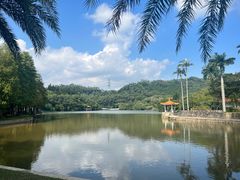 -深圳仙湖植物园