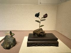 -陕西自然博物馆