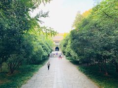 -灵谷景区