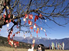 -硗碛藏寨·神木垒景区